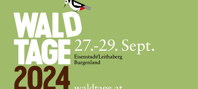 Waldtage 2024 Banner quer