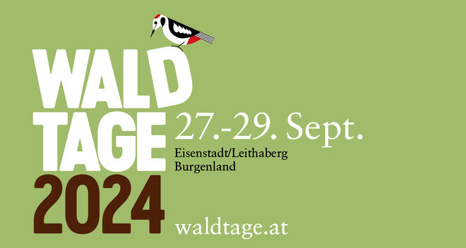 Waldtage 2024 Banner quer